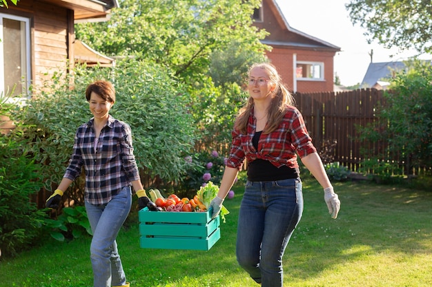 Due donne contadine che lavorano nel giardinaggio Giardiniere che trasporta cassa con verdure appena raccolte in giardino