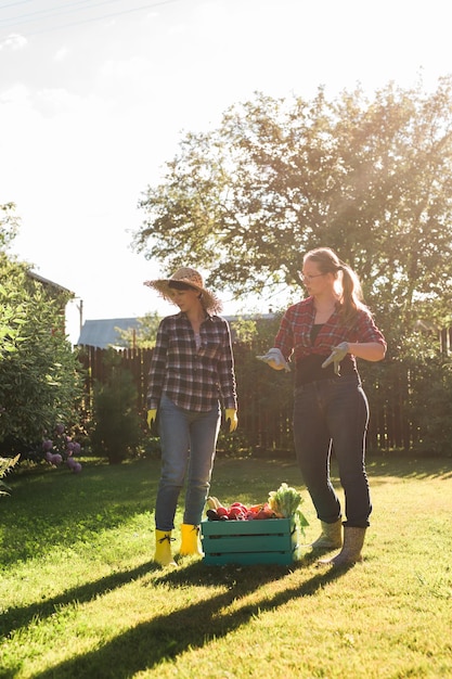 Due donne contadine che lavorano nel giardinaggio Giardiniere che trasporta cassa con verdure appena raccolte in giardino