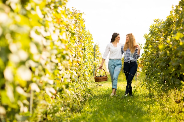 Due donne in vigna