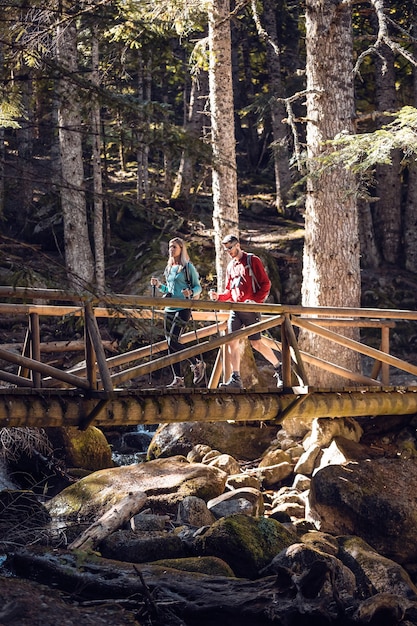 Due escursionisti di viaggio con lo zaino che camminano sul ponte di legno mentre guardano il paesaggio nella foresta.