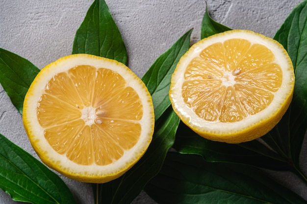 Due fette di limone, agrumi tropicali con foglie verdi