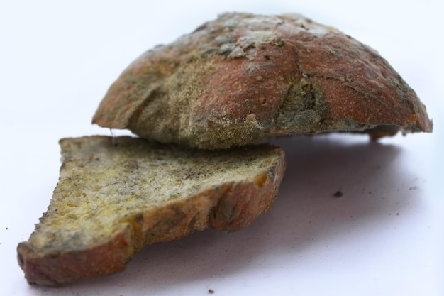 Due fette di pane ammuffito Pane raffermo