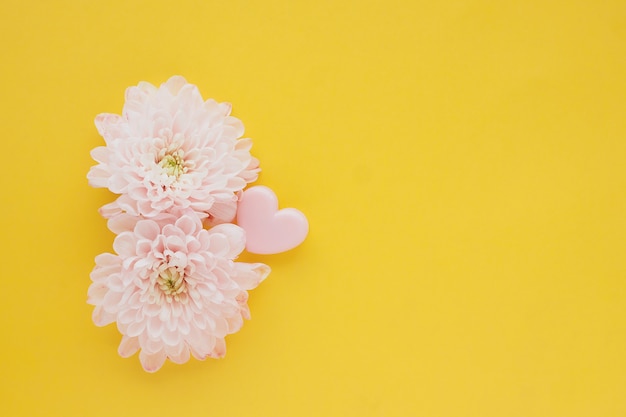 due fiori di crisantemo rosa e clip cuore rosa su un tavolo giallo brillante.