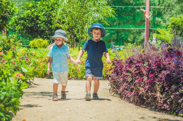 Due fratelli felici che corrono insieme su un sentiero in un parco tropicale.