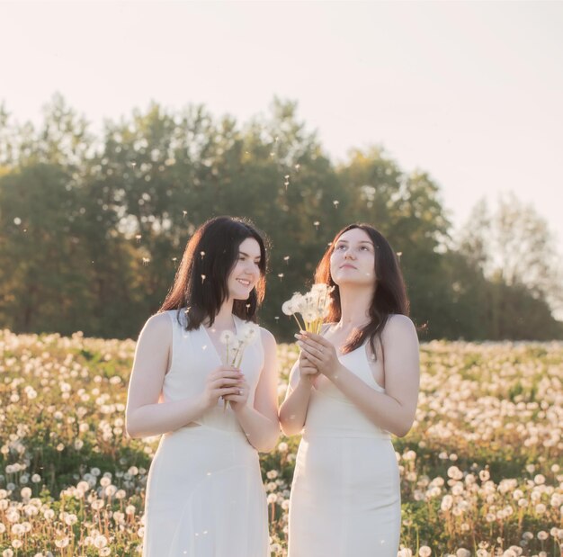 Due giovani belle ragazze sul prato con i denti di leone al tramonto