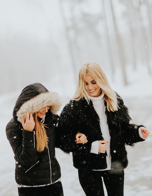 Due giovani donne in un parco d&#39;inverno