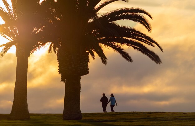 Due grandi palme e due donne che camminano con una vista sullo sfondo di un tramonto spettacolare