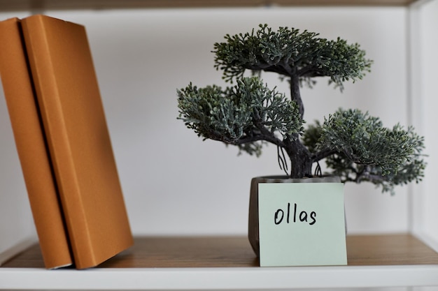 Due libri con copertina rigida marrone in piedi sullo scaffale accanto alla pianta domestica verde