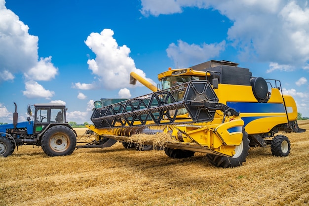 Due macchine per la raccolta della raccolta funzionanti. Raccolta del raccolto in campo d'oro. Grano secco.