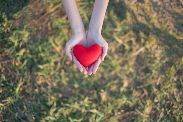 Due mani che tengono cuore rosso con sfondo verde erba.