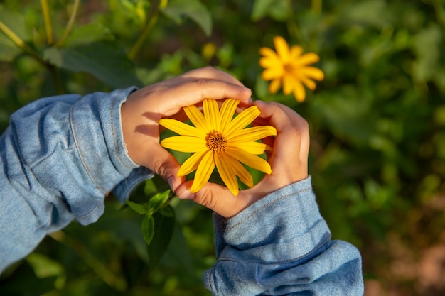 Due mani con fiori gialli.