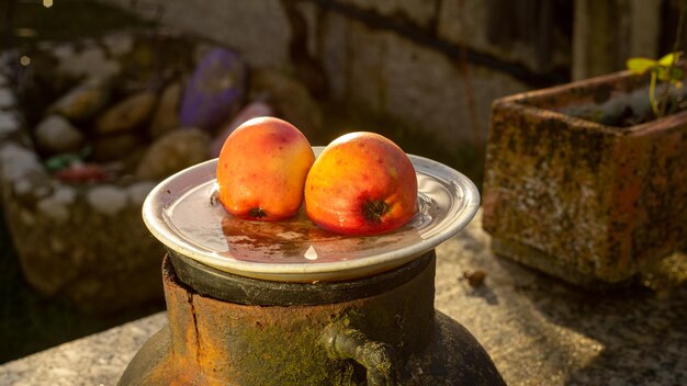 Due mele su un piatto con acqua