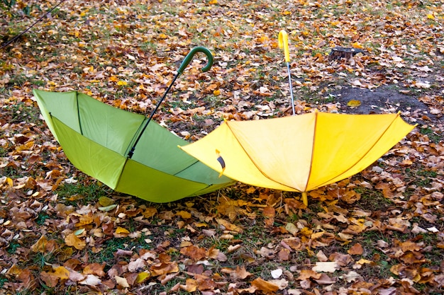 Due ombrelli giacciono sull'erba tra le foglie d'autunno \