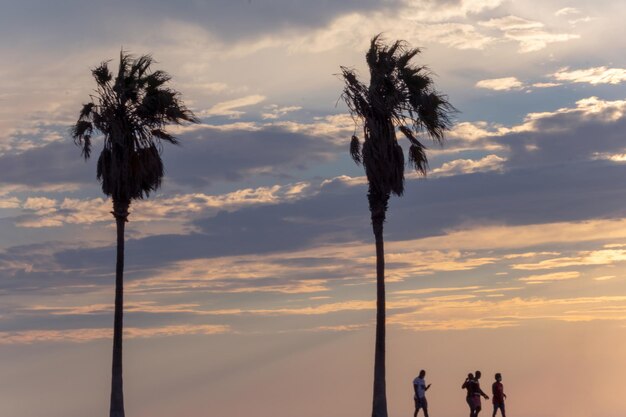 Due palme e cielo colorato con un bel tramonto