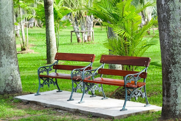 Due panchine nel parco della città