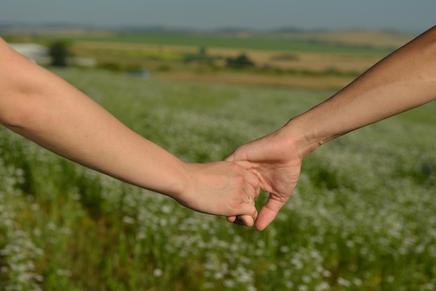 due persone che si tengono per mano in un campo con uno sfondo verde