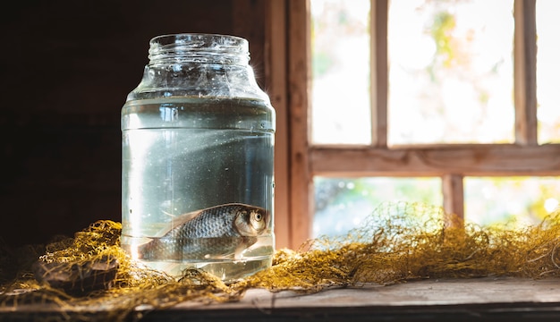Due pesci della carpa in un barattolo di vetro sul tavolo con una rete da pesca. Pesca ancora in vita.