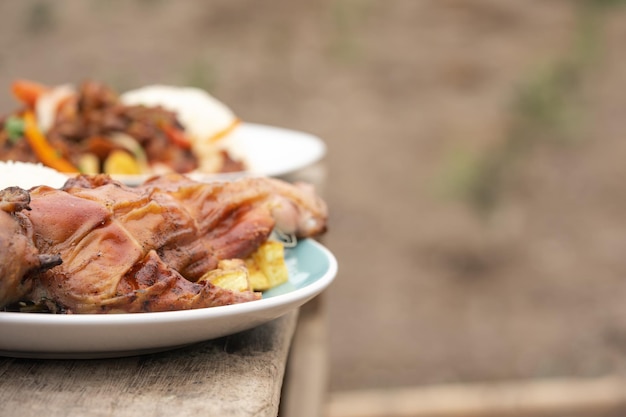 Due piatti di spezzatino di cavia serviti con verdure e riso