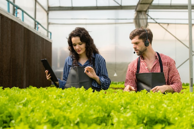 Due piccoli imprenditori proprietari di un orto biologico che presentano attualmente i clienti