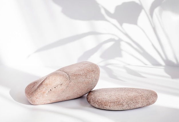 Due pietre marroni su uno sfondo chiaro con ombre