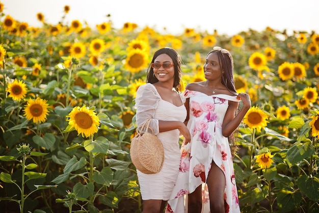 Due piuttosto giovani amici neri donna indossano abiti estivi posano in un campo di girasoli