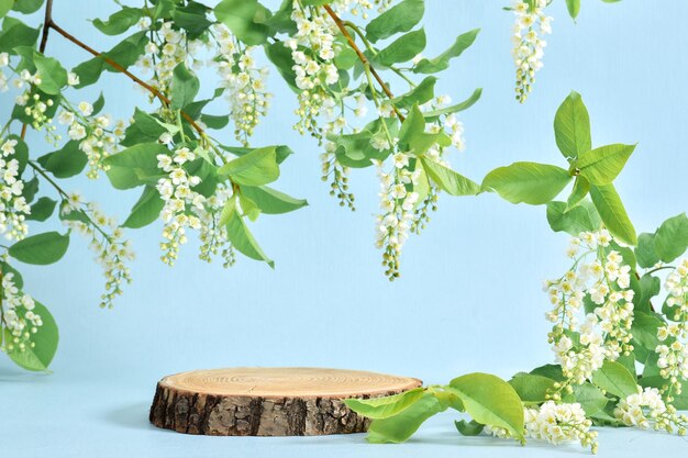 Due podi in legno con ramo fiorito su fondo azzurro