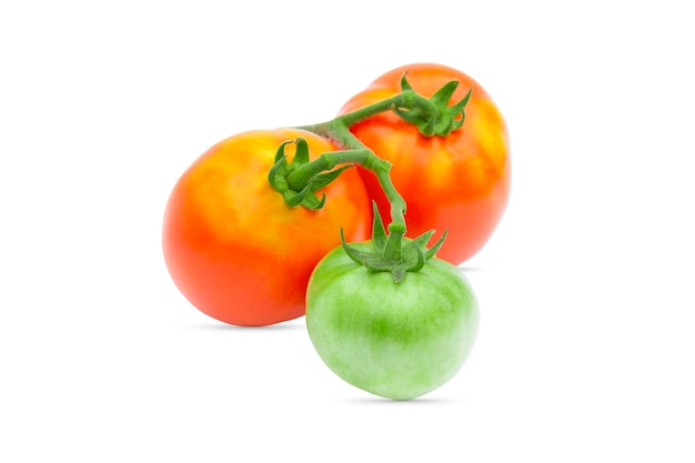 due pomodori rossi e uno verde su fondo bianco