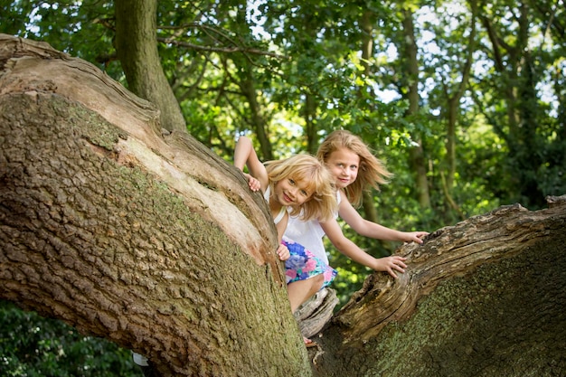 Due ragazze che si arrampicano su un albero in una foresta