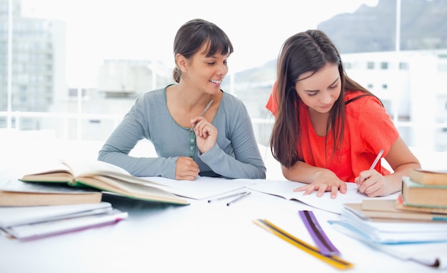 Due ragazze che studiano a casa a lavorare