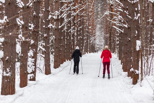 Due ragazze con una giacca nera e rossa sciano in inverno in una foresta innevata su una pista da sci. Alberi in fila.. Vista posteriore. Sciare in un bellissimo bosco innevato al freddo. bella natura invernale