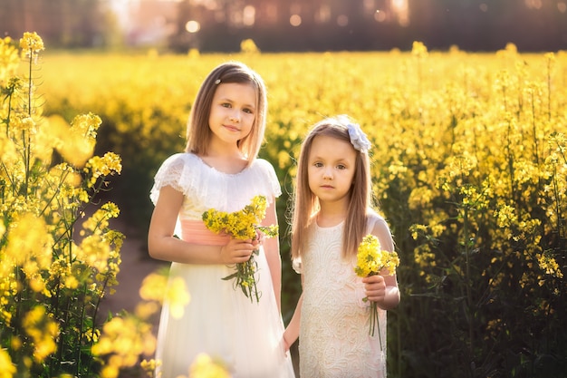 due ragazze in un campo di colza in estate