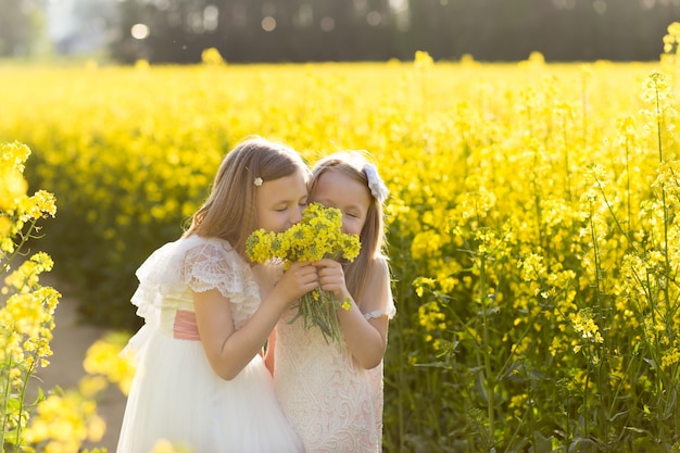 due ragazze in un campo di colza in estate