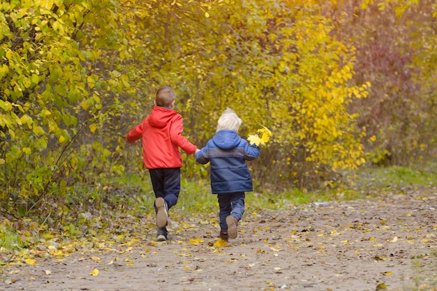 Due ragazzi che camminano nel parco di autunno