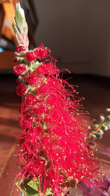 Due rami fioriti colorati di alberi diversi che fioriscono in un bicchiere d'acqua in una stanza alla pari