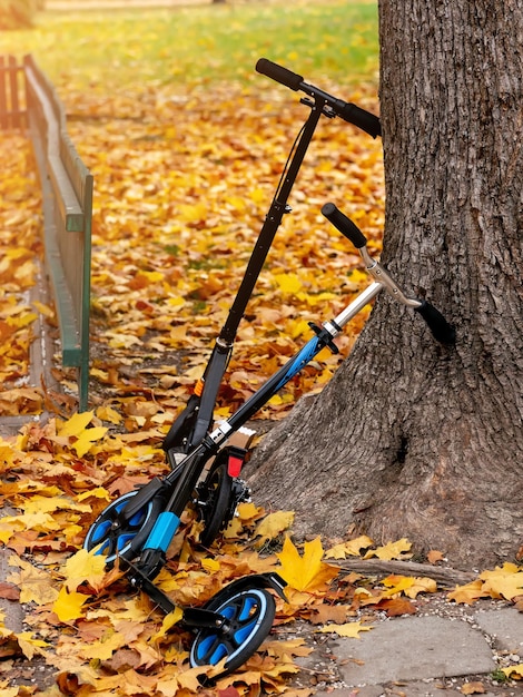 Due scooter vicino a un albero in autunno Park