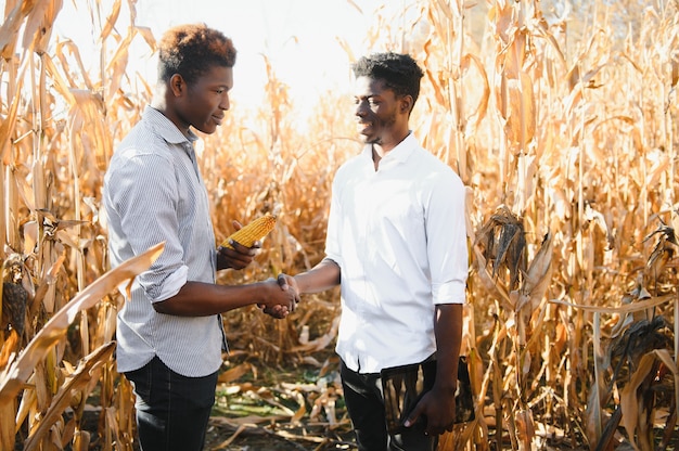 Due soci africani dell'agricoltore che si stringono la mano. Il concetto di agroalimentare