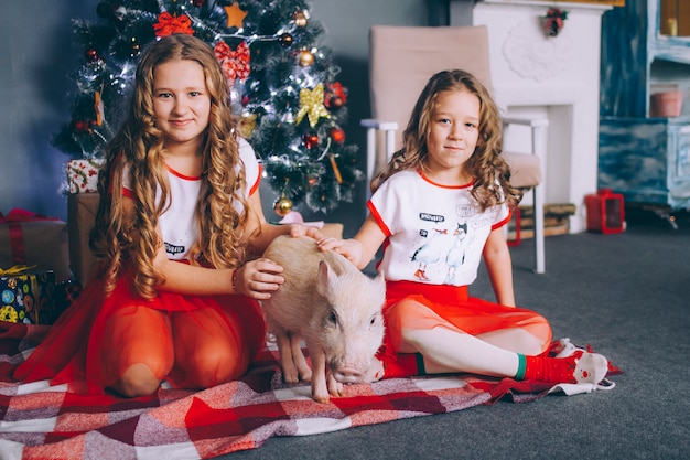 Due sorelline stanno giocando con un mini maiale vicino a un albero di Natale