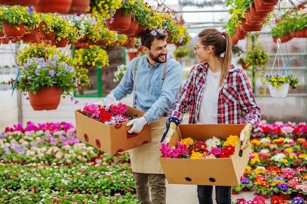 Due sorridenti proprietari di piccole imprese che camminano in serra e trasportano scatole con fiori colorati