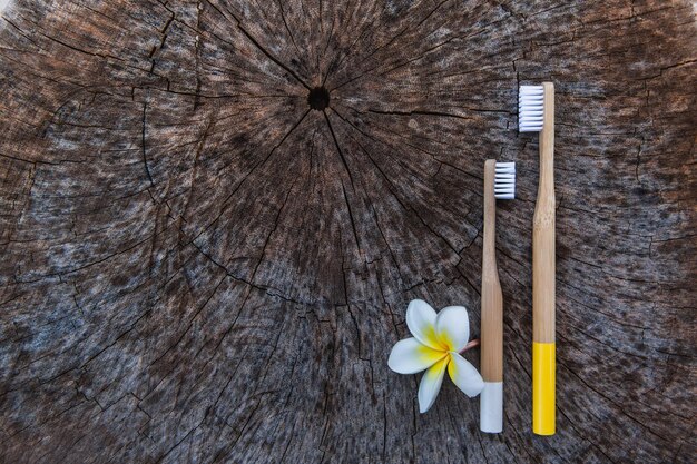 Due spazzolini da denti in legno di bambù ecologico bianco e giallo su sfondo di legno con fiore giallo bianco Plumeria Copia spazio piatto