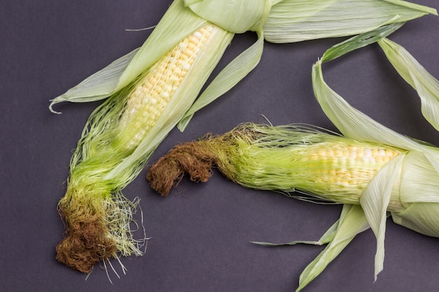 Due spighe di grano con foglie e fili di seta. Sfondo nero. Lay piatto