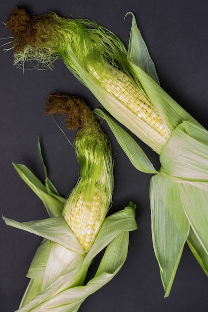 Due spighe di grano con foglie e seta di mais. Sfondo nero. Lay piatto