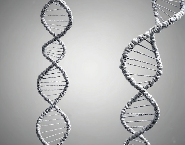 Due strisce di DNA: una con una striscia di DNA e l'altra con un'altra striscia.