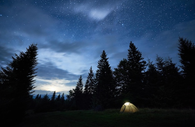 Due tende da campo nella foresta sotto il bel cielo notturno