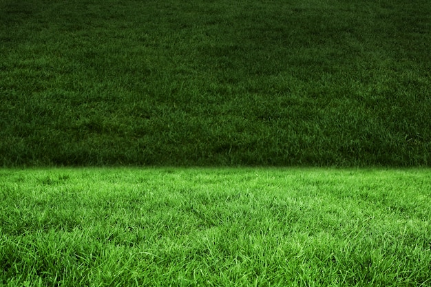 Due tonalità di erba verde
