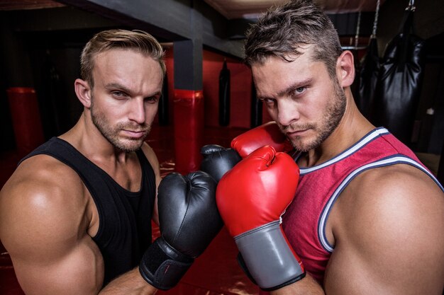 Due uomini di boxe che si esercitano insieme