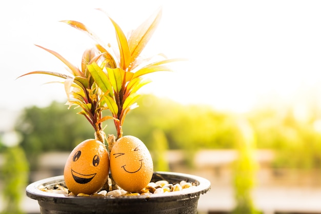 due uova di sorriso si siedono sotto l&#39;albero