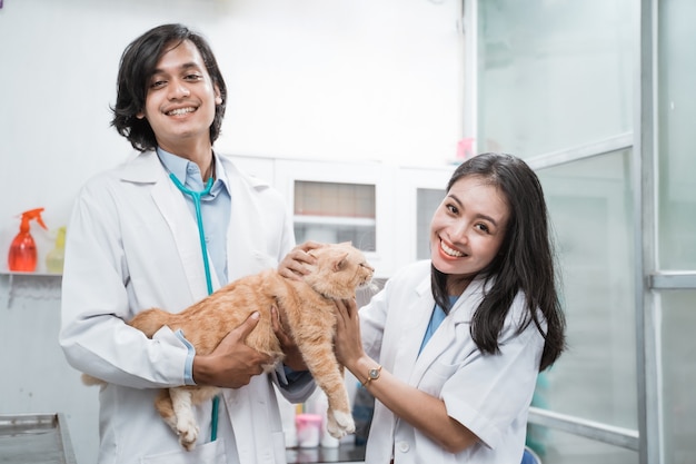 Due veterinari sorridenti che guardano mentre controllano il gatto nella clinica veterinaria