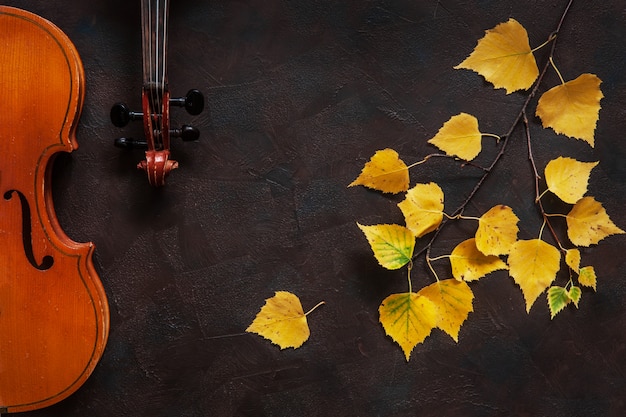 Due violini e ramo di betulla con foglie gialle d&#39;autunno.