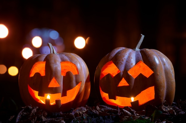 Due zucche di Halloween nel parco