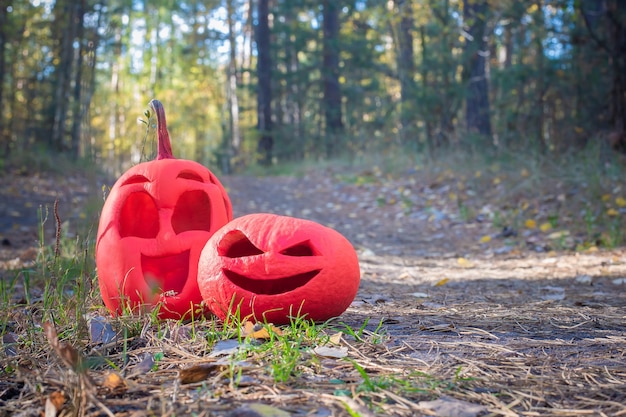 Due zucche rosa di halloween nella foresta autunnale si trovano su una strada di campagna